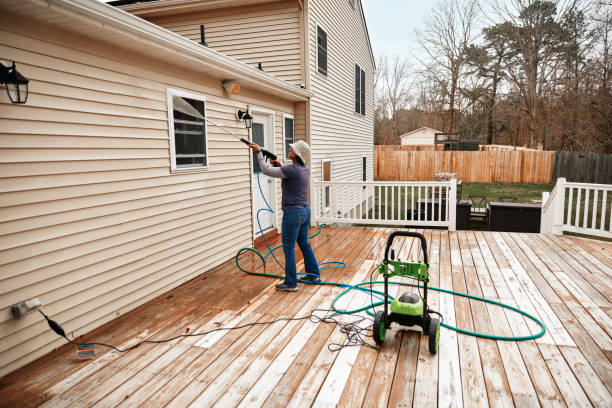 Best Pressure Washing Brick  in Cresaptown, MD