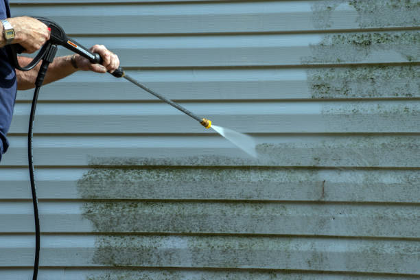 Pressure Washing Services for Businesses in Cresaptown, MD