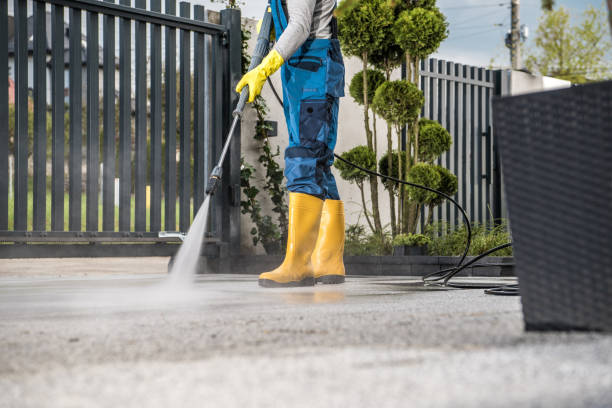 Best House Pressure Washing  in Cresaptown, MD