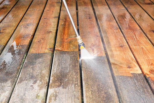Best Pressure Washing Services for Businesses  in Cresaptown, MD