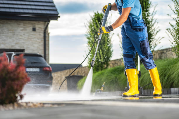 Best Sidewalk Pressure Washing  in Cresaptown, MD