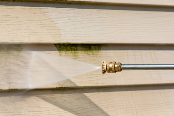 Best Residential Pressure Washing Services  in Cresaptown, MD